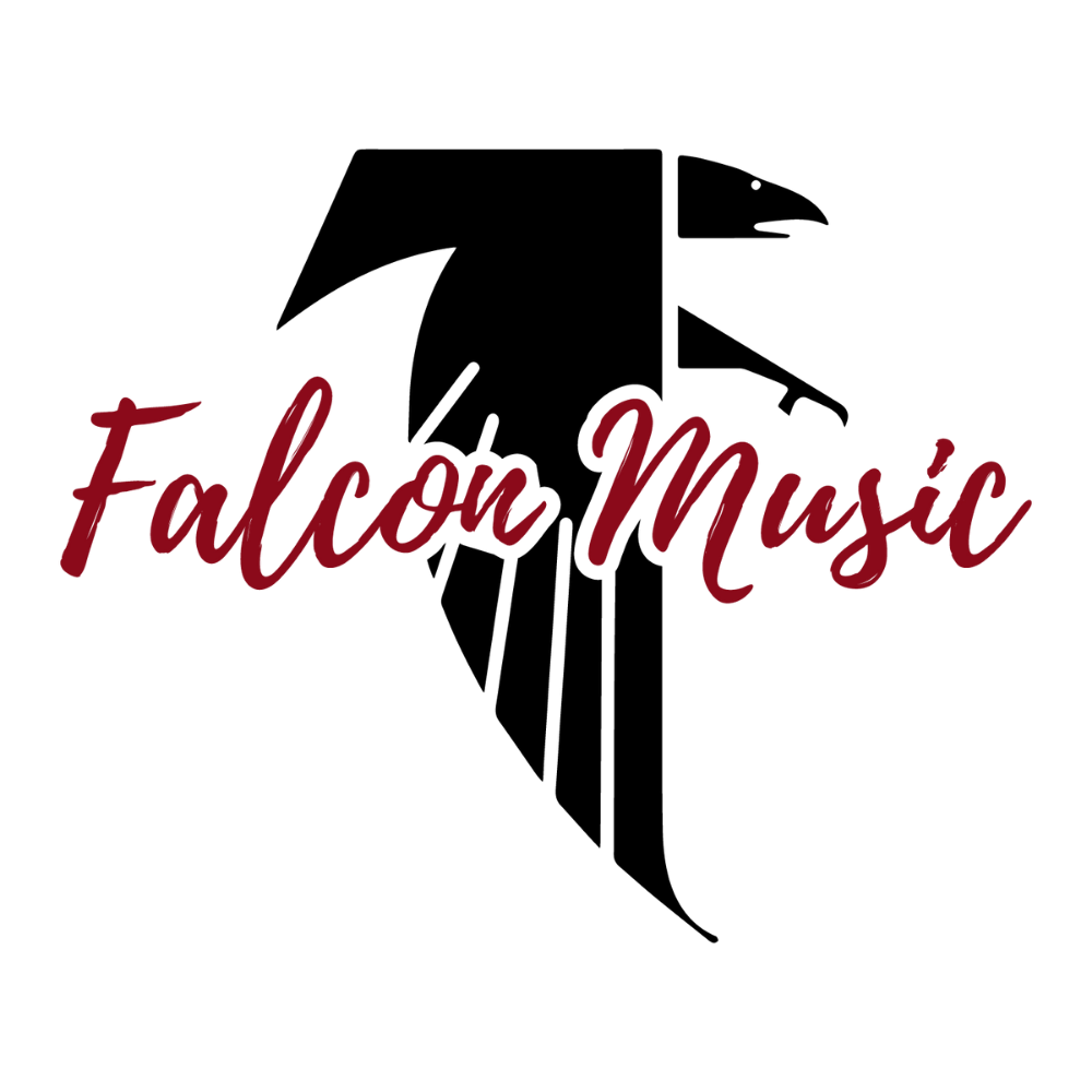 Falcon Music String Orchestra