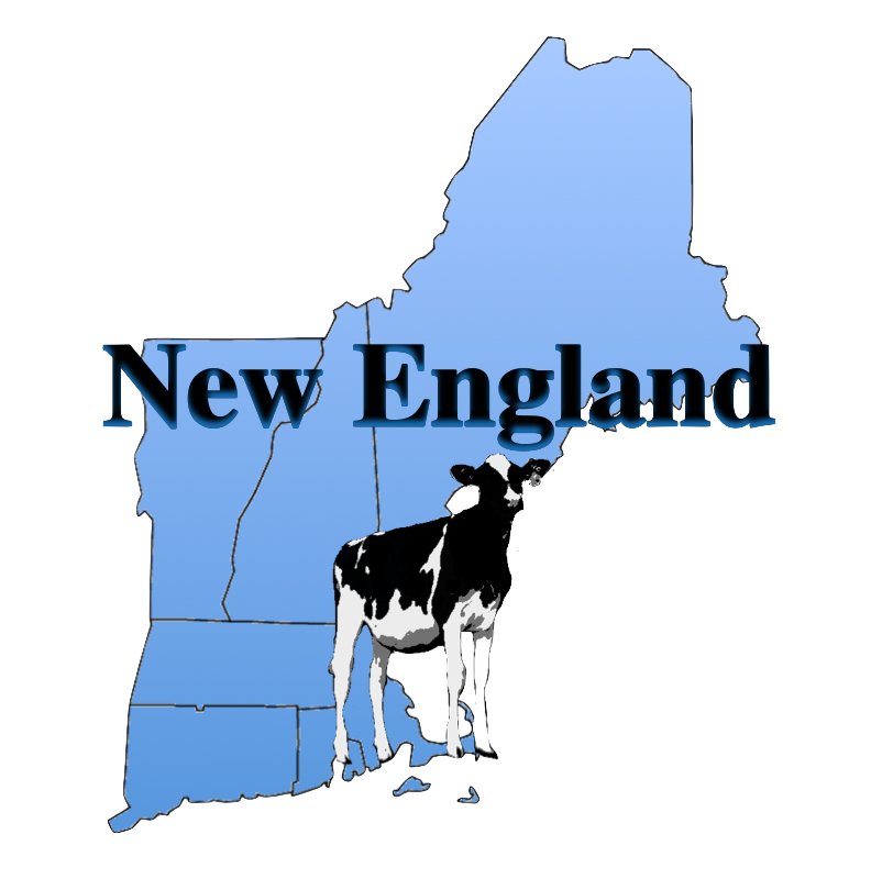 New England Junior Holstein Association