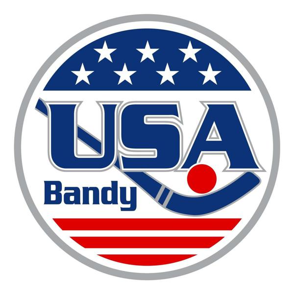 USA Bandy